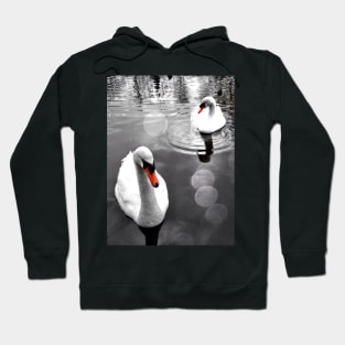 Swans on Tooting Common Hoodie